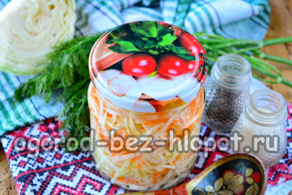 양배추가 준비되었습니다