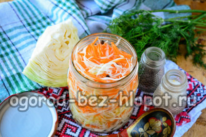 항아리에 양배추를 발효시키는 방법