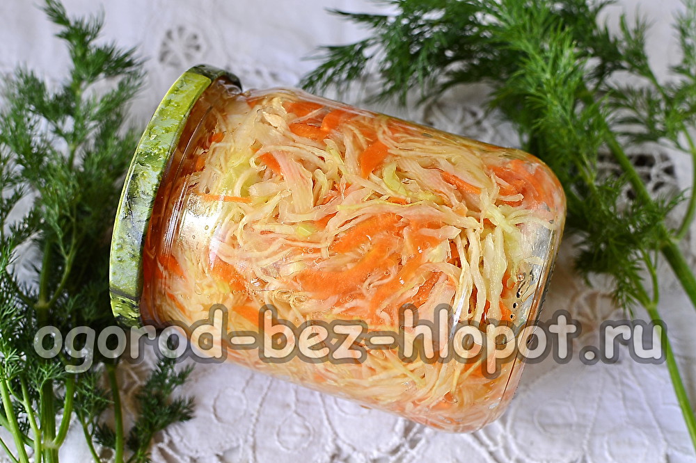 겨울철 양배추 발효 방법