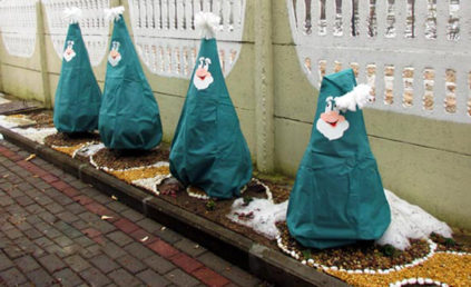 측백나무를 덮는 방법