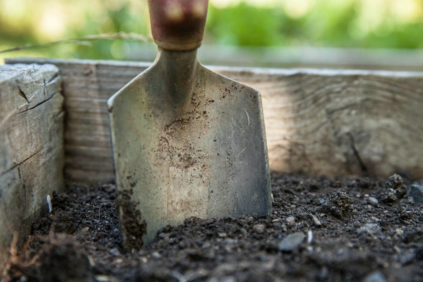 겨울이 오기 전에 정원을 갈아야 합니까?