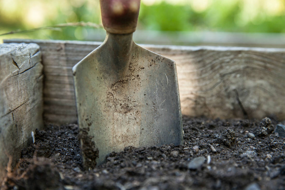 겨울이 오기 전에 정원을 갈아야 합니까?