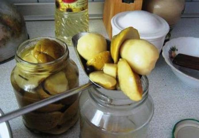 절인 포르치니 버섯