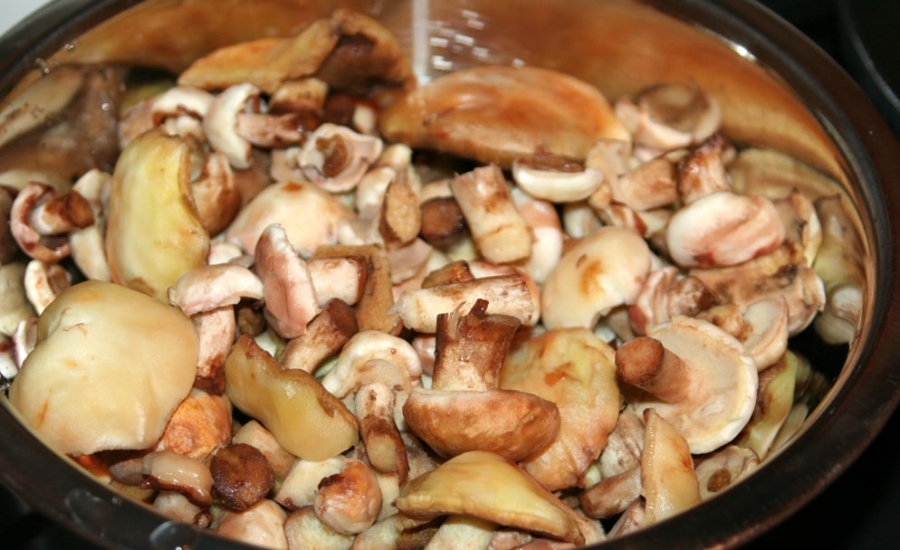 튀긴 버터 버섯 냄비 구이