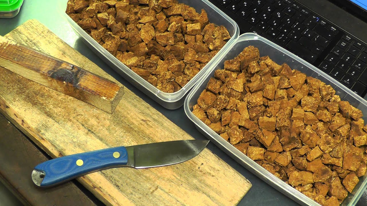 자작나무 차가 자르기