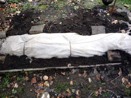 겨울을 위한 대피소