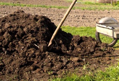 유기 가을 비료