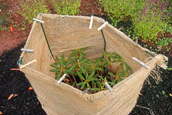 겨울을 위한 대피소