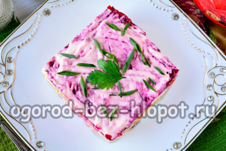 샐러드가 준비되었습니다