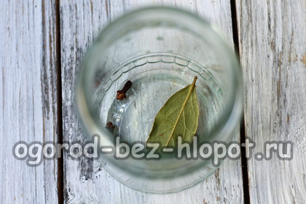 향신료를 항아리에 담다