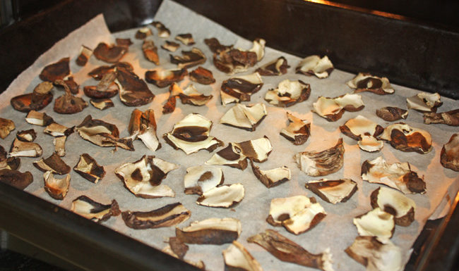 오븐에서 버섯 건조