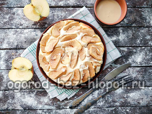 사과를 곁들인 코티지 치즈 캐서롤