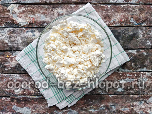 코티지 치즈를 접시에 붓다