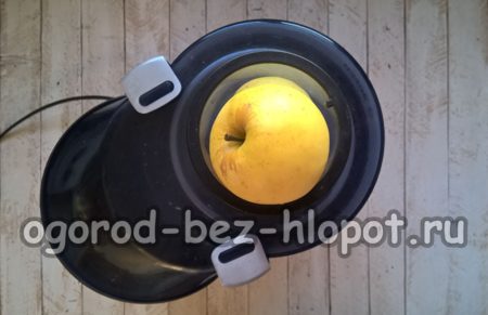 사과를 주서기에 넣다