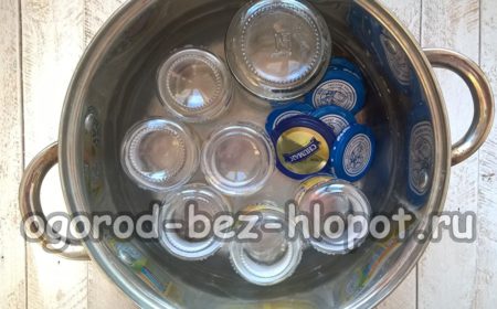 뚜껑이 있는 끓는 병