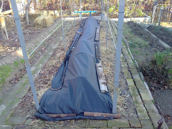 겨울을 위한 대피소