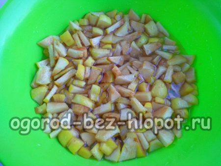 모과 위에 시럽을 붓다