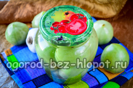 녹색 토마토가 준비되었습니다