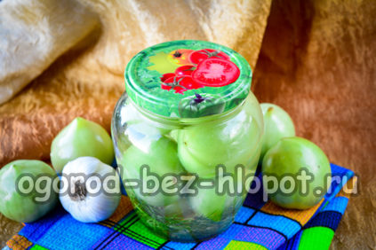 겨울용 풋토마토