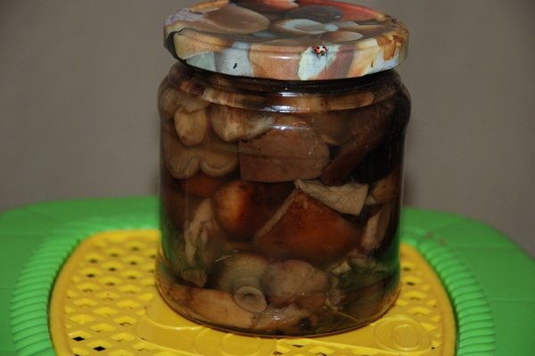 소금에 절인 우산버섯