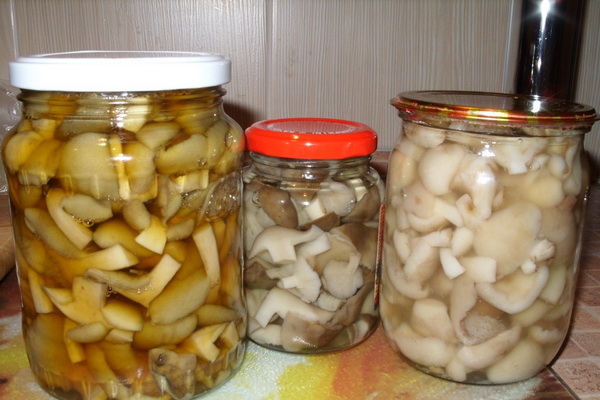 통조림 느타리버섯