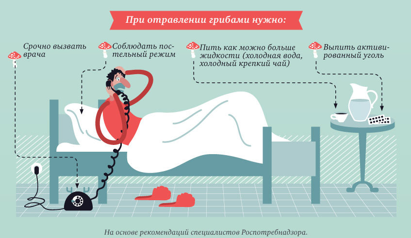 버섯 중독 시 대처 방법