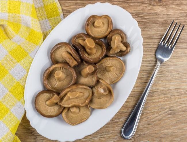 짭짤하고 쓴 버섯