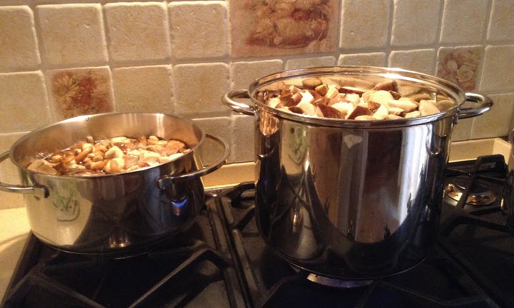 버섯 요리 과정