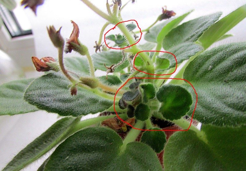 페이스트 사용 결과