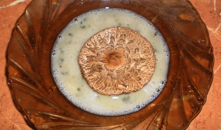 계란 속의 버섯