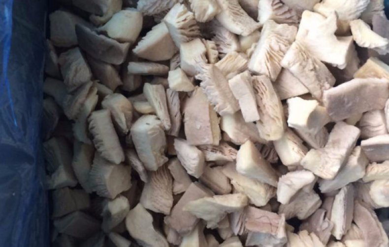 냉동 느타리버섯