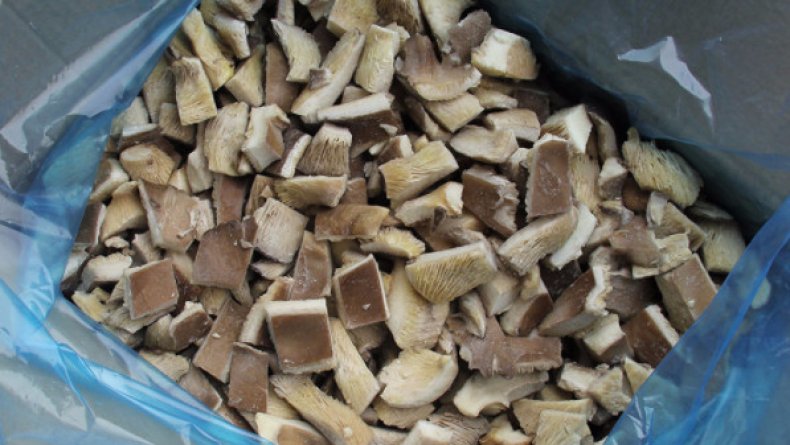 냉동 느타리버섯