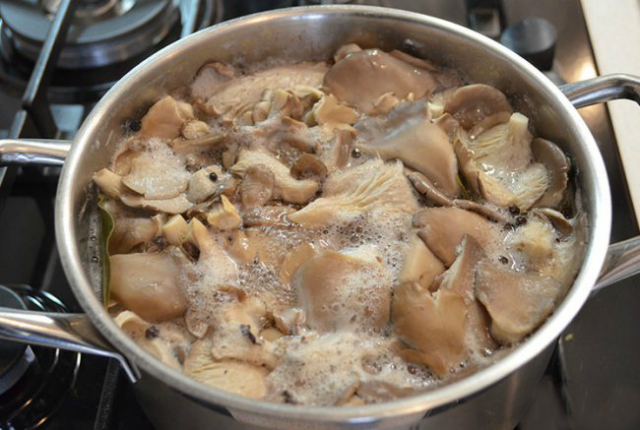 절임용 느타리버섯