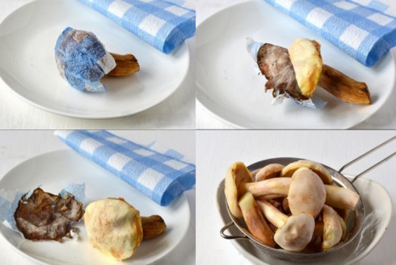 냅킨으로 버터버섯 세척하기