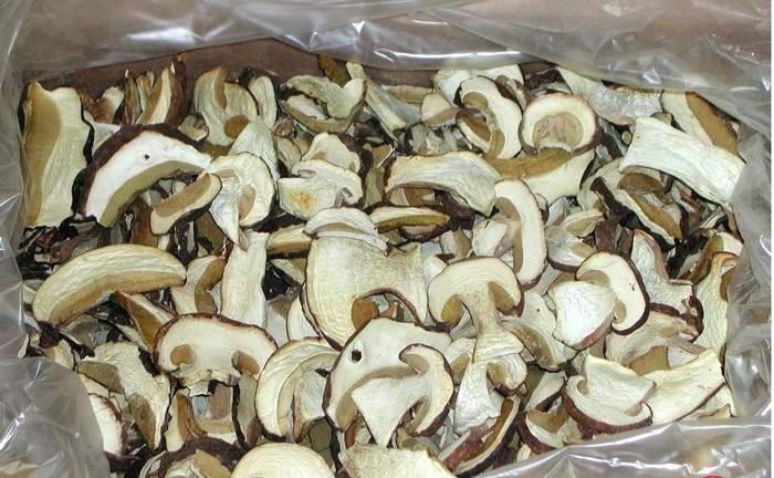 말린 포르치니 버섯