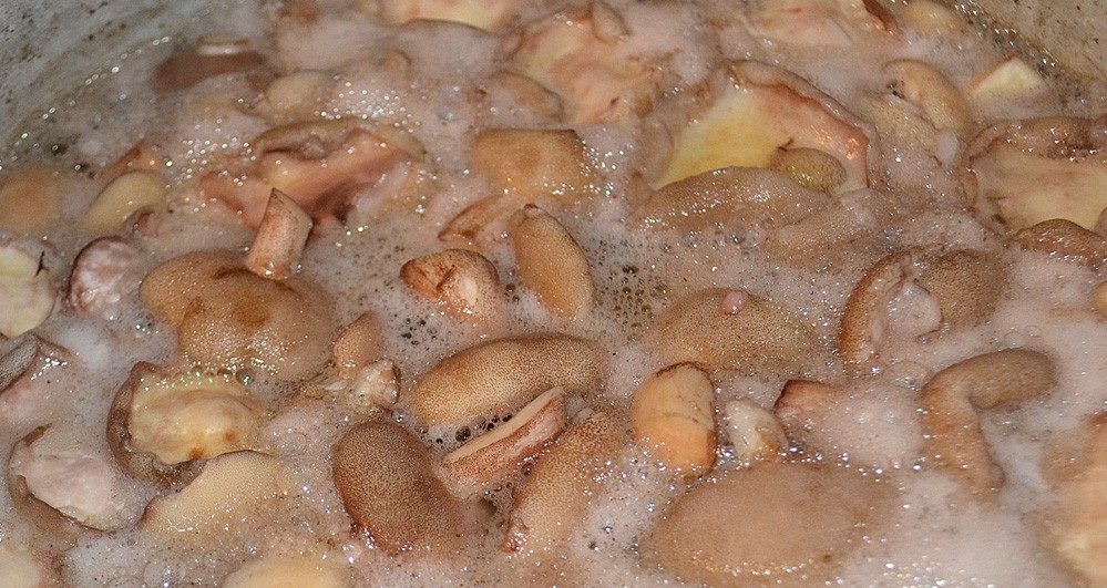 버터버섯 요리하기