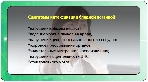 버섯 중독 증상