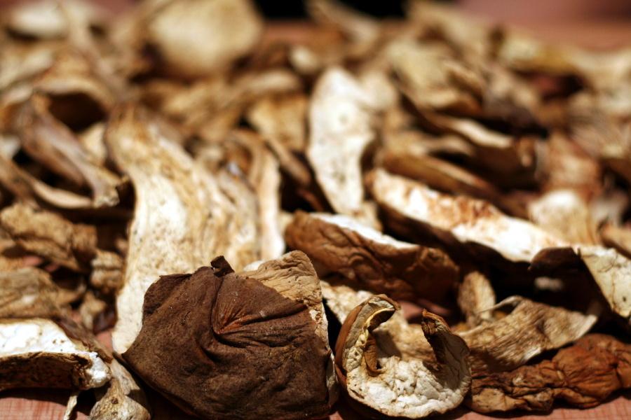 말린 포르치니 버섯