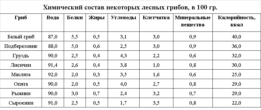 버섯의 화학적 성분