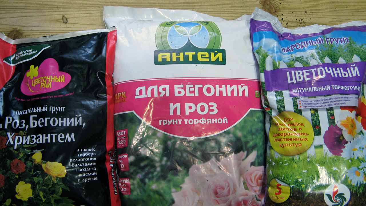 실내 식물을 위한 토양