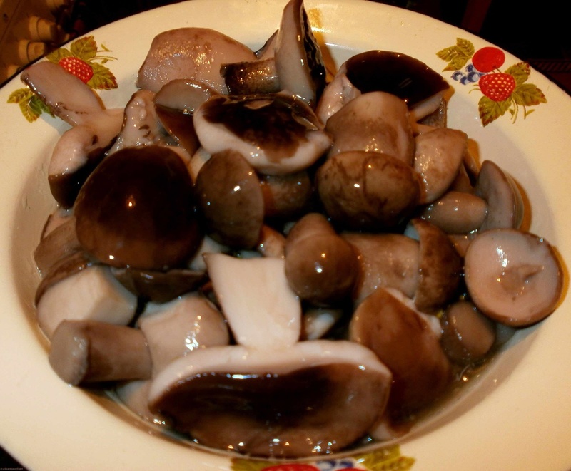 소금에 절인 로완 버섯