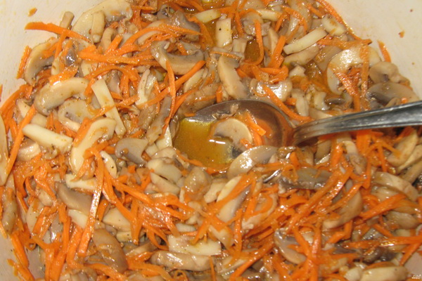 한국어로 느타리버섯