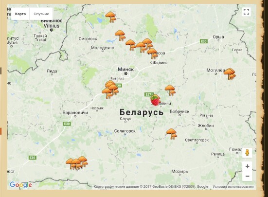 버섯 따기 장소