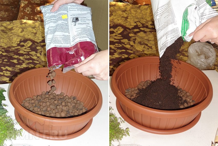 배수 및 토양층