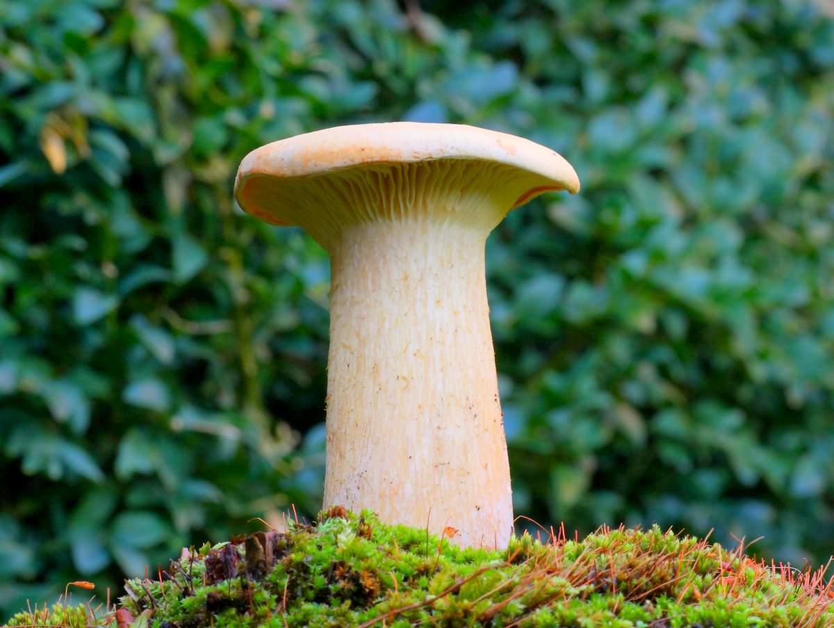 허리를 굽혀 말하는 사람