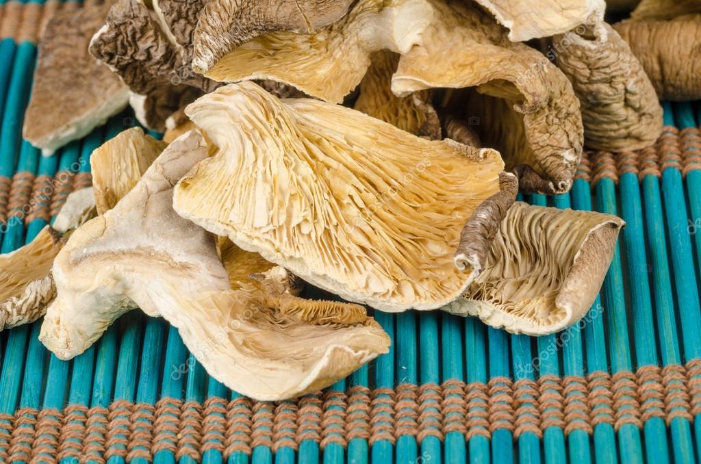 말린 느타리버섯