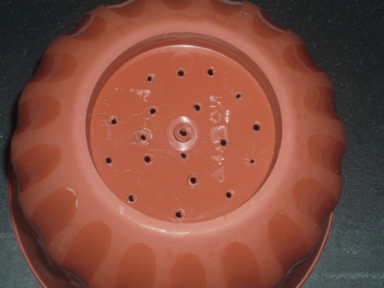 화분 바닥에 배수구가 있습니다