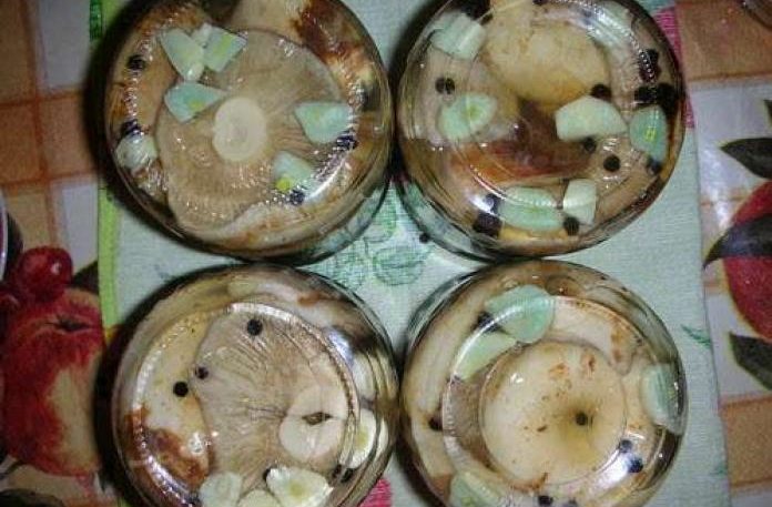 뜨거운 소금에 절인 우유버섯