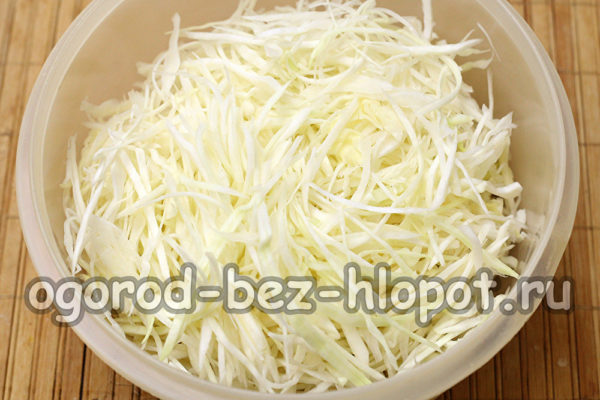 양배추를 잘게 썬다