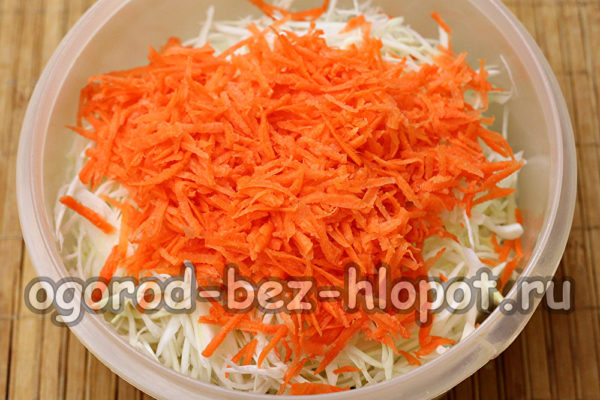 강판한 당근을 추가하세요